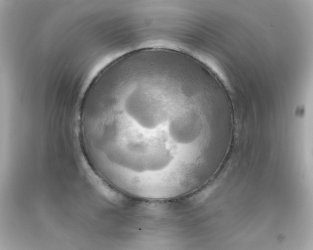 X0000091501040200709061918