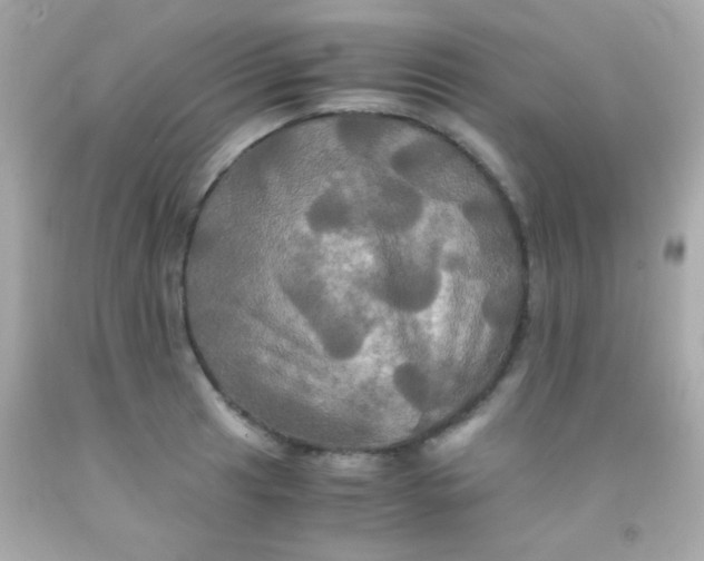 X0000091501041200709061918