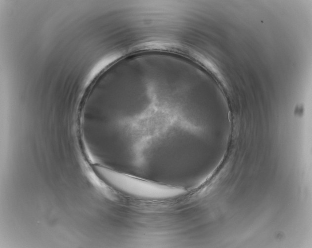 X0000091501042200709061918