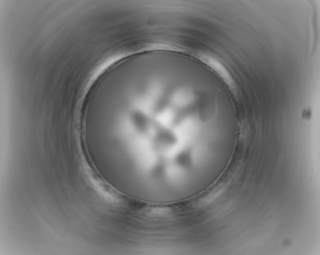 X0000091501043200709061918