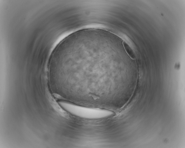 X0000091501044200709061918