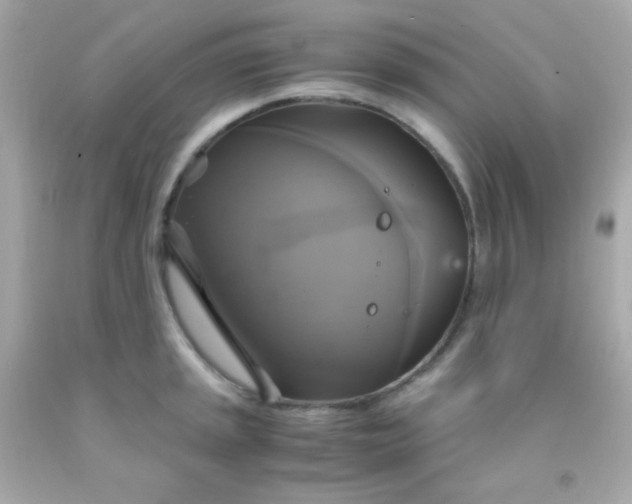 X0000091501045200709061918