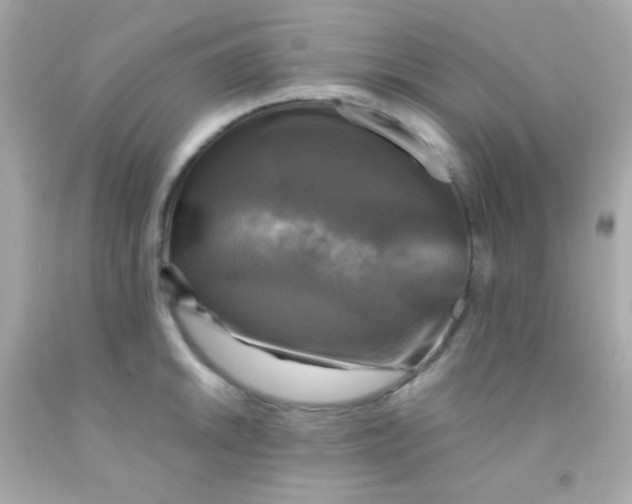 X0000091501046200709061918