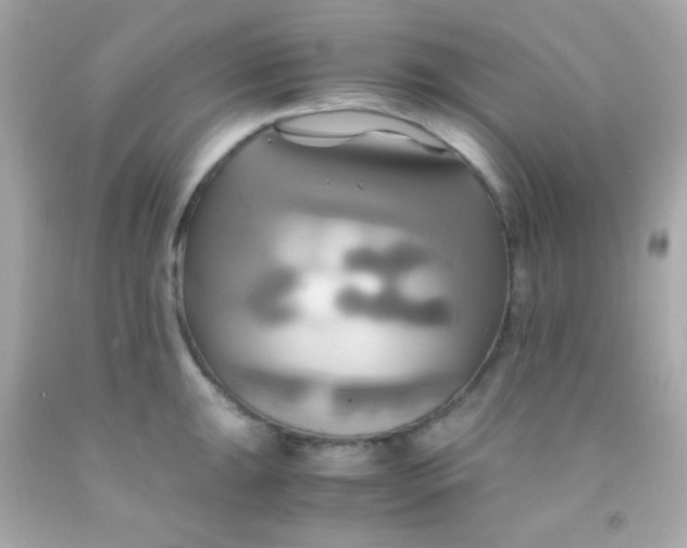 X0000091501047200709061918