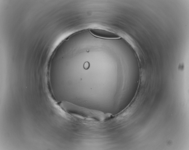 X0000091501048200709061918