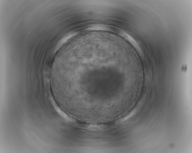 X0000091501049200709061918