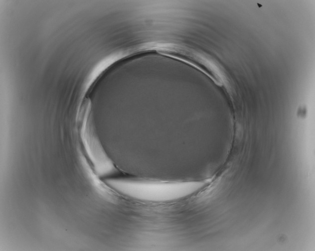 X0000091501050200709061918