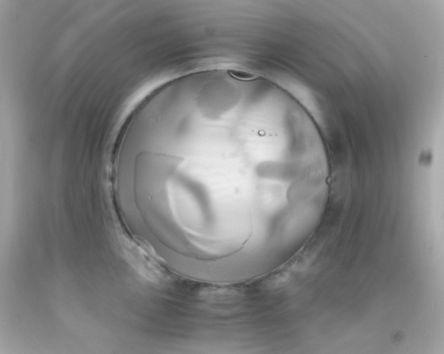 X0000091501051200709061918