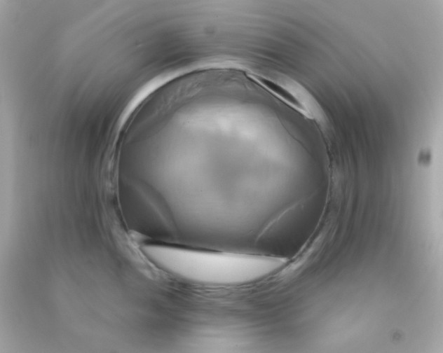 X0000091501052200709061918