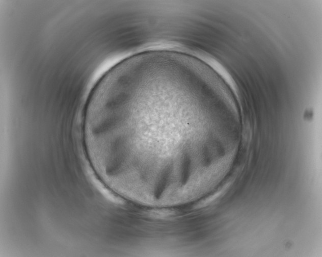 X0000091501053200709061918