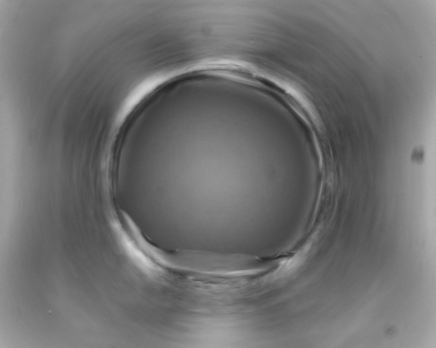 X0000091501054200709061918