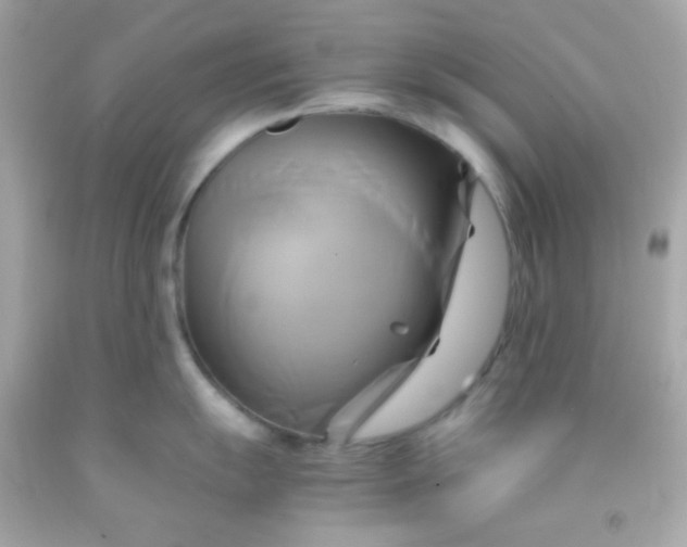 X0000091501055200709061918