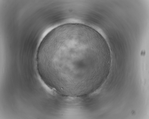 X0000091501056200709061918