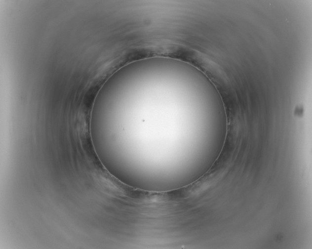 X0000091501058200709061918