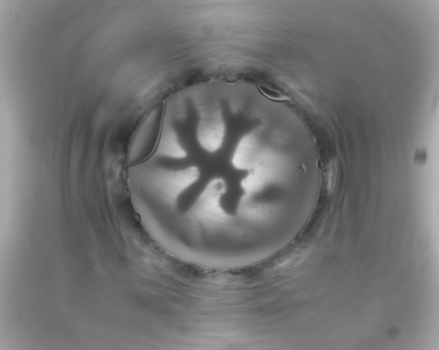 X0000091501059200709061918