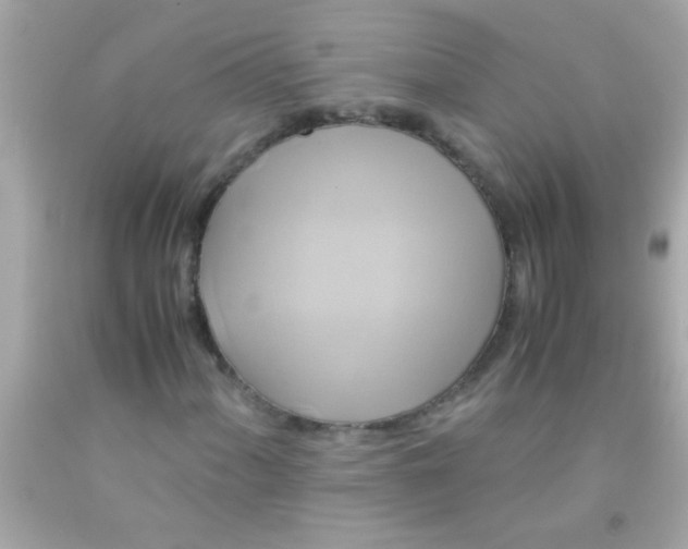 X0000091501060200709061918