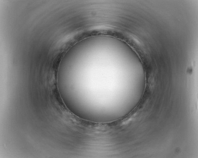 X0000091501062200709061918