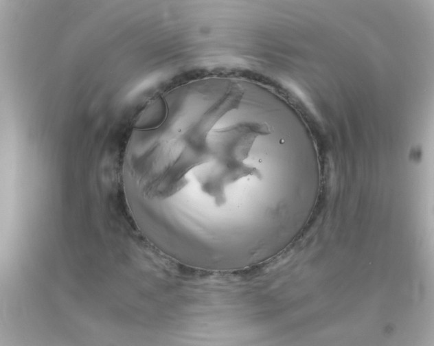 X0000091501063200709061918