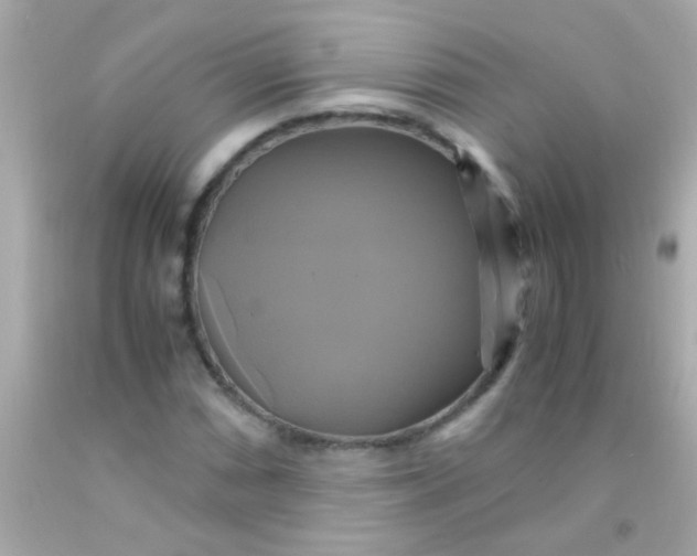 X0000091501066200709061918