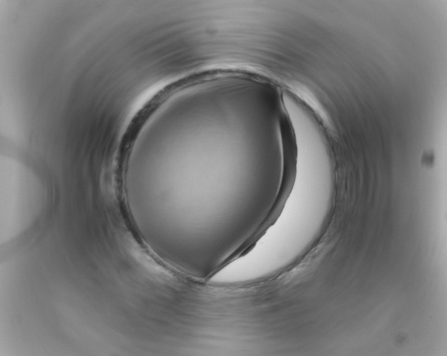 X0000091501068200709061918