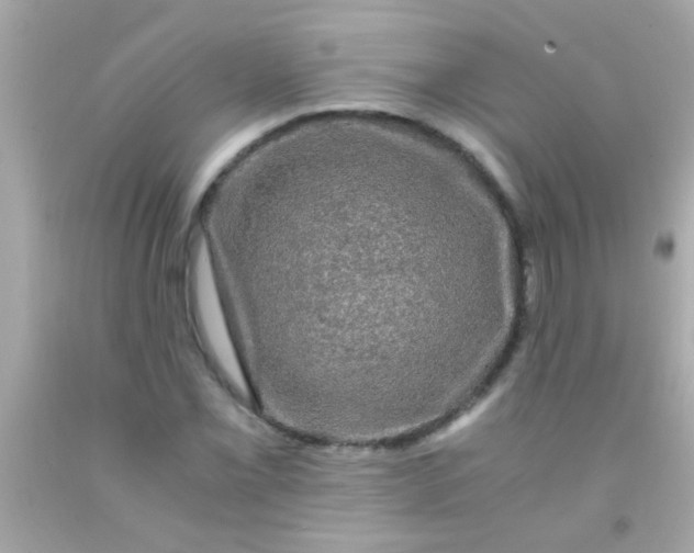 X0000091501069200709061918