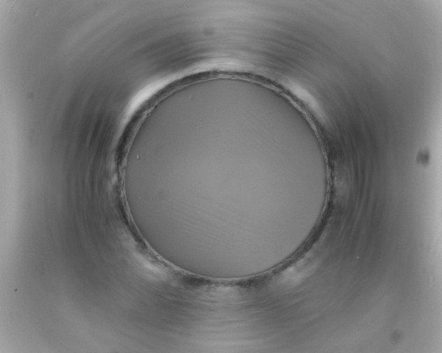 X0000091501070200709061918