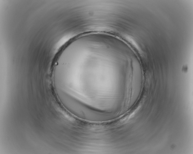 X0000091501071200709061918