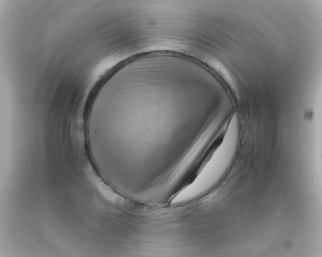 X0000091501072200709061918