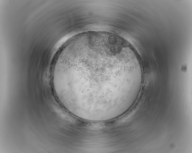 X0000091501074200709061917