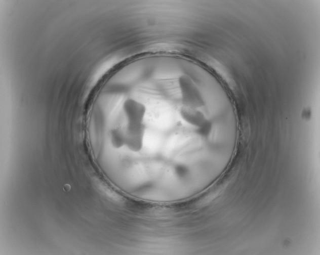 X0000091501075200709061917