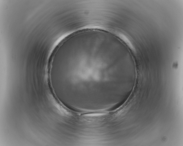 X0000091501076200709061917