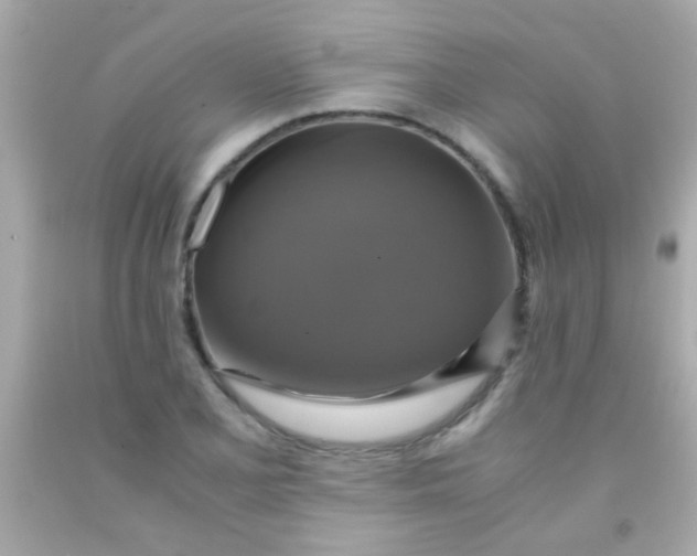 X0000091501077200709061917