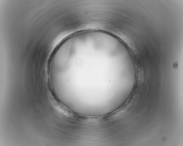 X0000091501078200709061917