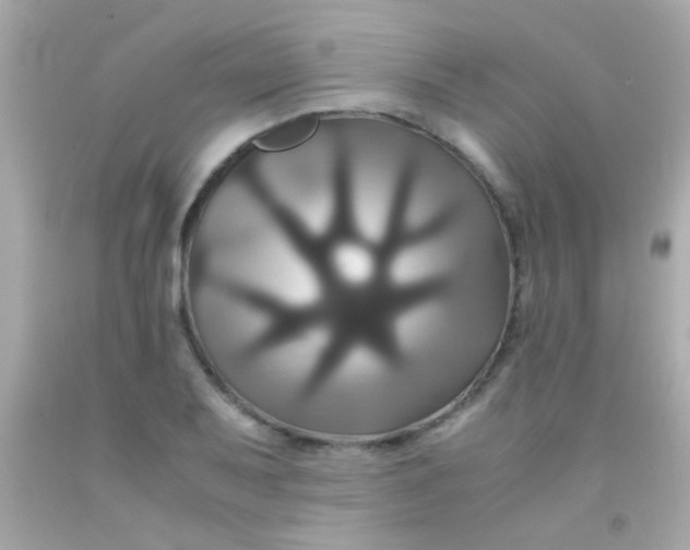 X0000091501079200709061917