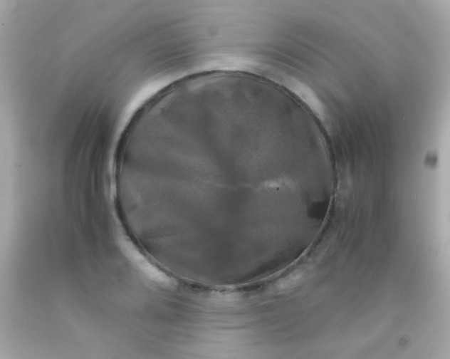 X0000091501080200709061917