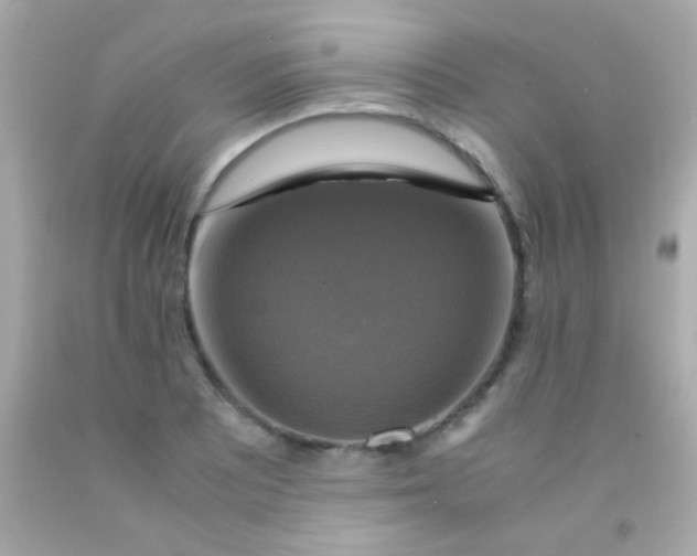 X0000091501081200709061917