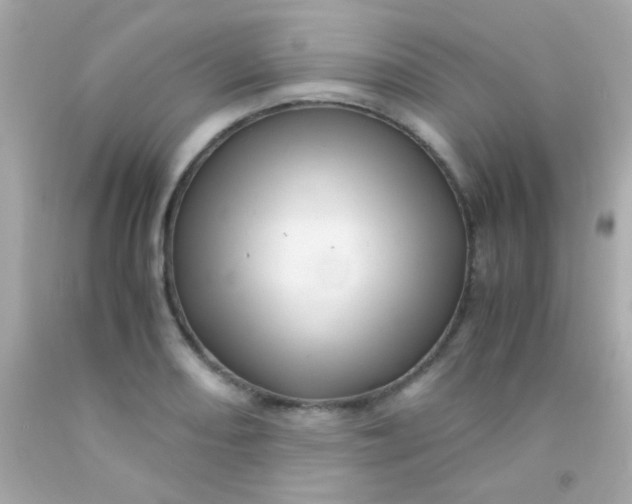 X0000091501082200709061917