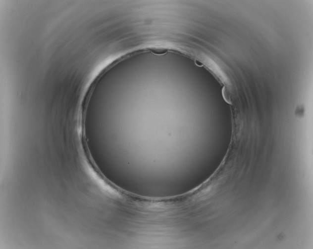 X0000091501084200709061917