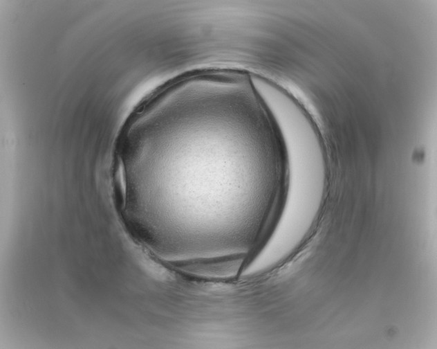 X0000091501085200709061917