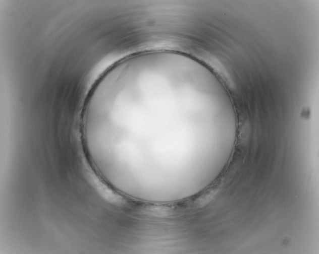 X0000091501086200709061917