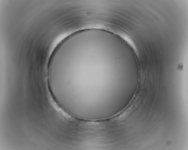 X0000091501088200709061917