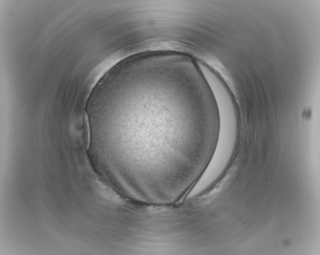 X0000091501089200709061917