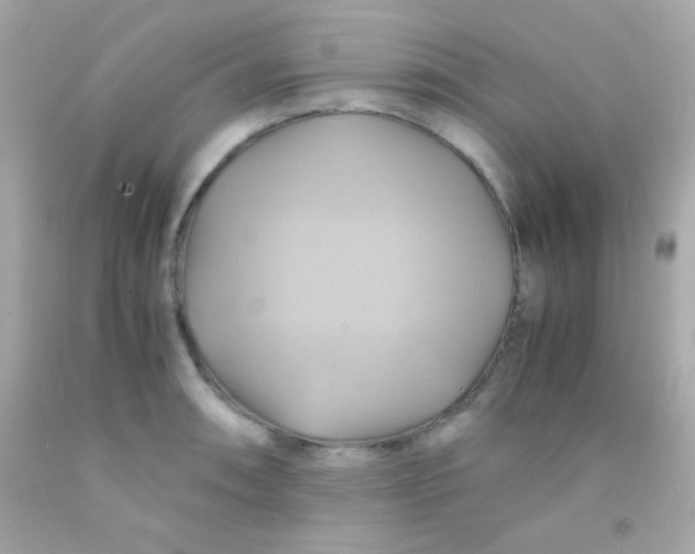 X0000091501090200709061917