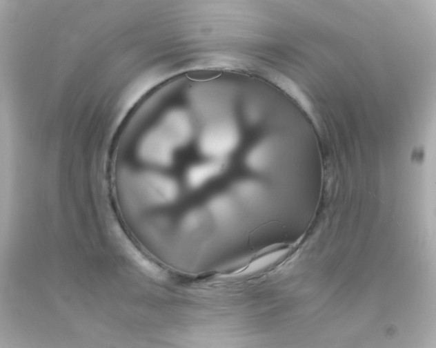 X0000091501091200709061917