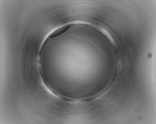 X0000091501092200709061917