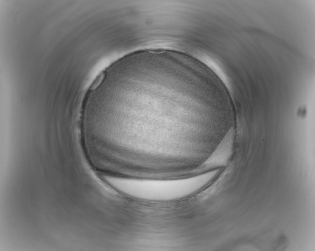 X0000091501093200709061917