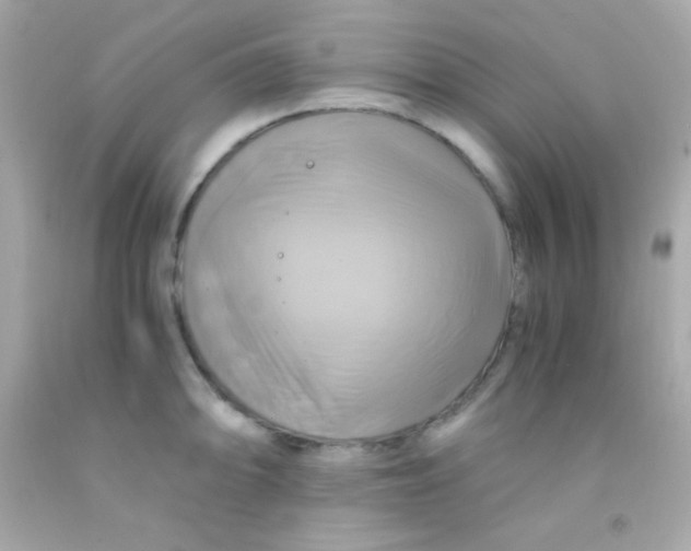 X0000091501094200709061917