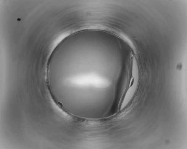 X0000091501095200709061917