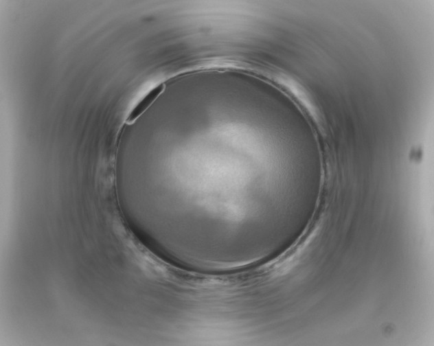 X0000091501097200709061917