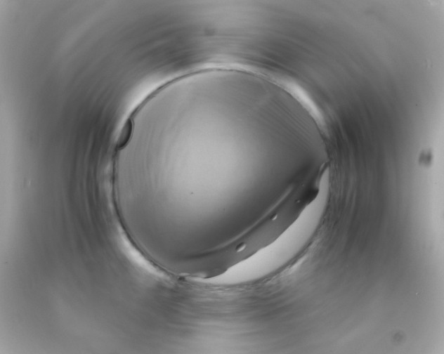 X0000091501100200709061917